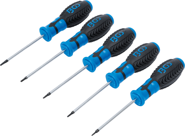 Tournevis Torx Inviolables Avec Trou Central T6 T10 5 Pieces