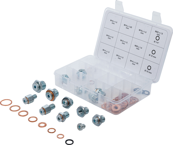 QWORK - Lot De 6 Bouchons De Vidange D'huile | Entraînement 1/2", Tailles 8 à 14 Mm, Pour Moteur