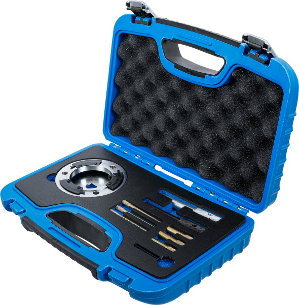 KIT PIGES BGS TECHNIC CALAGE DISTRIBUTION PSA 1.4 Et 1.6, FORD, MAZDA | Leroy Merlin